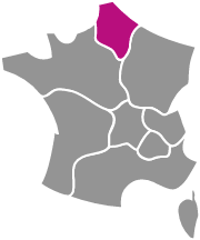 Département Hauts-de-France en rose, carte de France grise